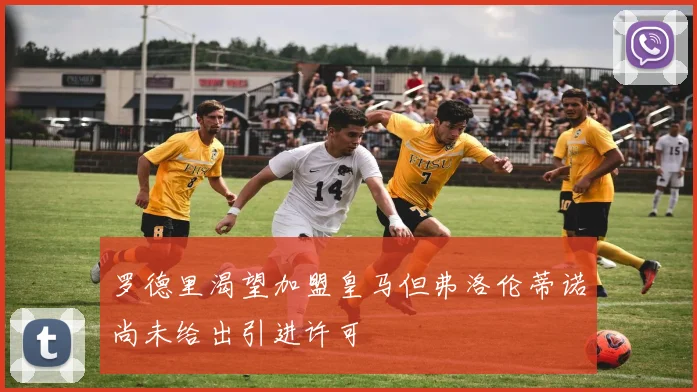 罗德里渴望加盟皇马但弗洛伦蒂诺尚未给出引进许可